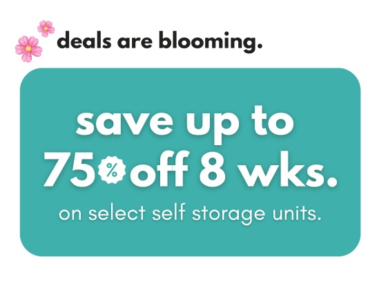 Make Space Storage - Ottawa  Promotion